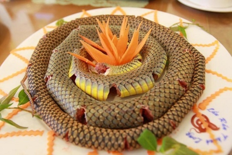 海蛇（Rắn biển）