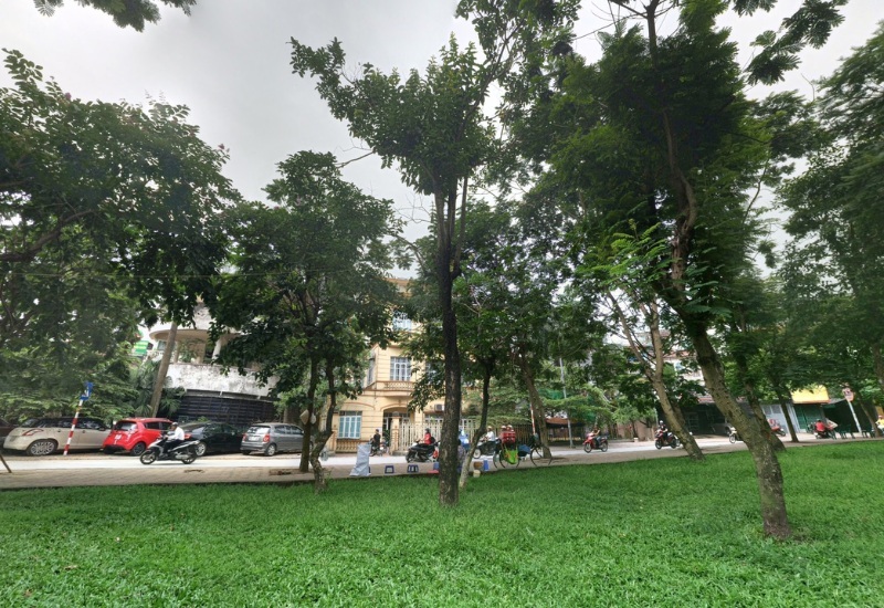 三母湖周圍岸邊樹木的綠意盎然景色