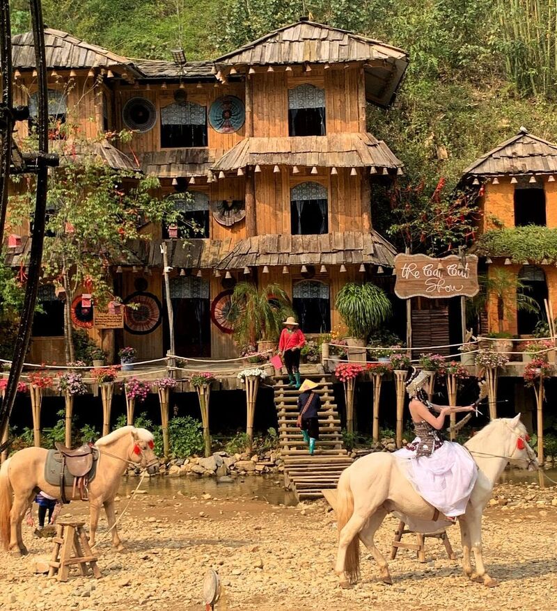 在陽光明媚的日子裡，貓貓村顯得格外迷人