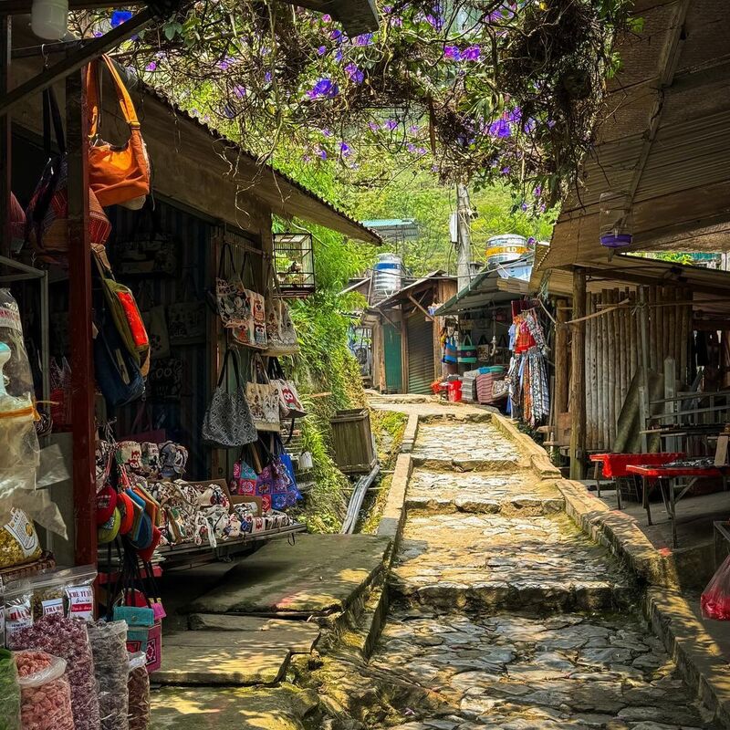 貓貓村恬靜生活的風景畫面