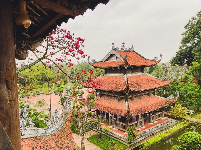 建築與自然融合之美