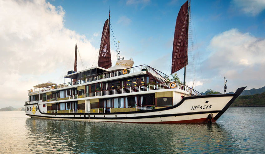 (Orchid Cruises)