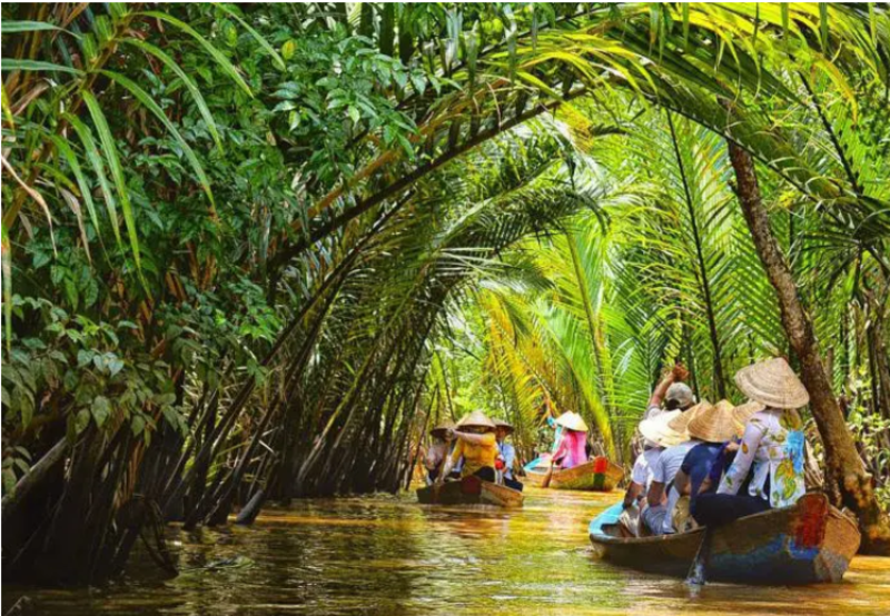 美拖 - 前江的水上島嶼「泰山洲」,氣候涼爽,果樹一年四季結果。