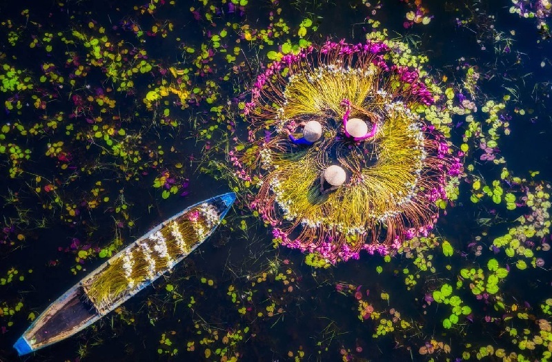 你還在猶豫什麼？趕快來一趟芹苴一日遊吧！