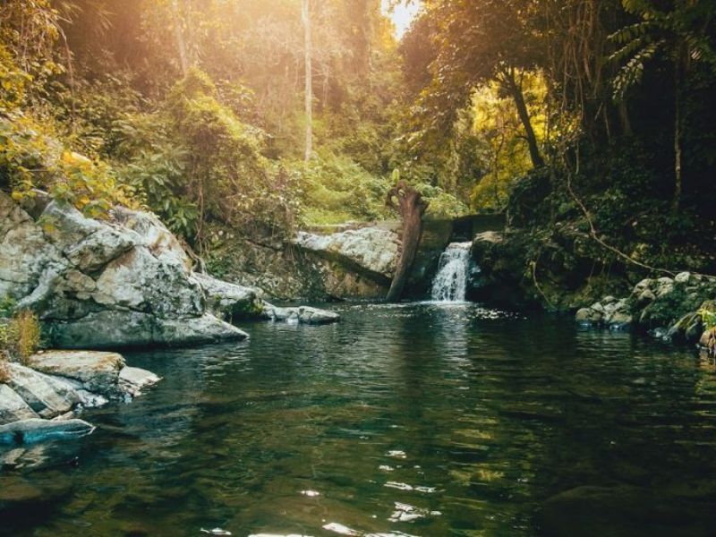 探索廣南溪林壯麗景觀,感受自然的寧靜氣息