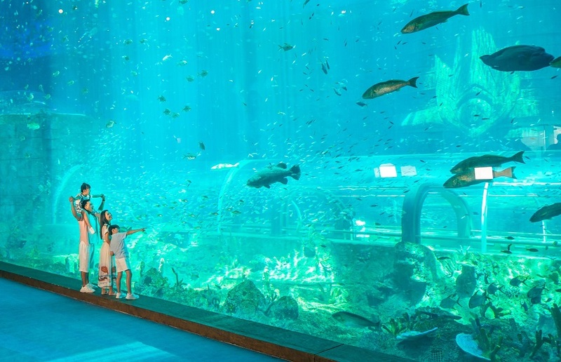 探索海王宮殿水族館