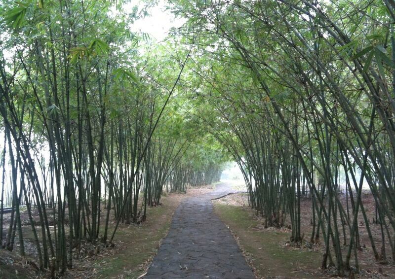 也許沒有人會想到，在這條綠竹成蔭、清涼宜人的道路下方，竟是曾用來庇護永穆軍民的地道。