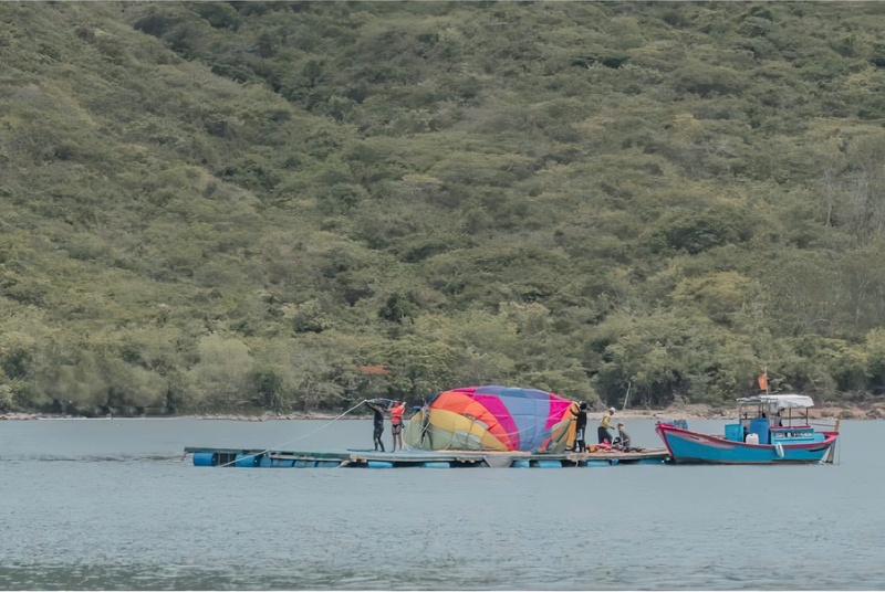 參與並體驗島上各式各樣的活動。