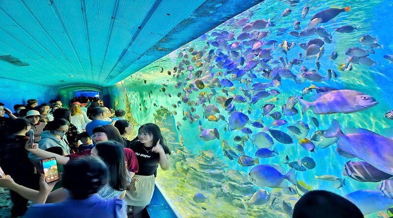 芽庄海洋研究院