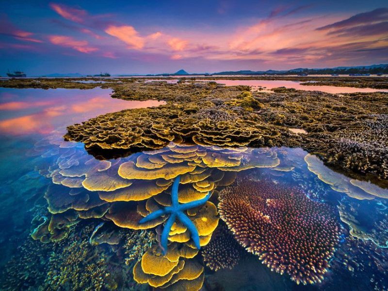 前往 燕岩,展開一場探索岩石與珊瑚世界的冒險之旅。