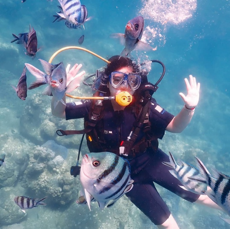 體驗芽莊潛水,與水下生物共融吧!