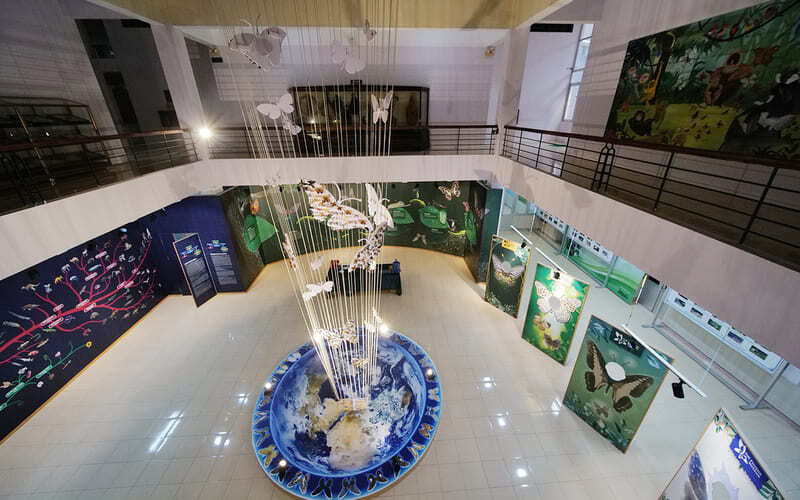 菊芳博物館展示大量珍貴標本。