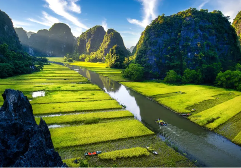 夏季時,三谷金黃稻田如畫般美麗。