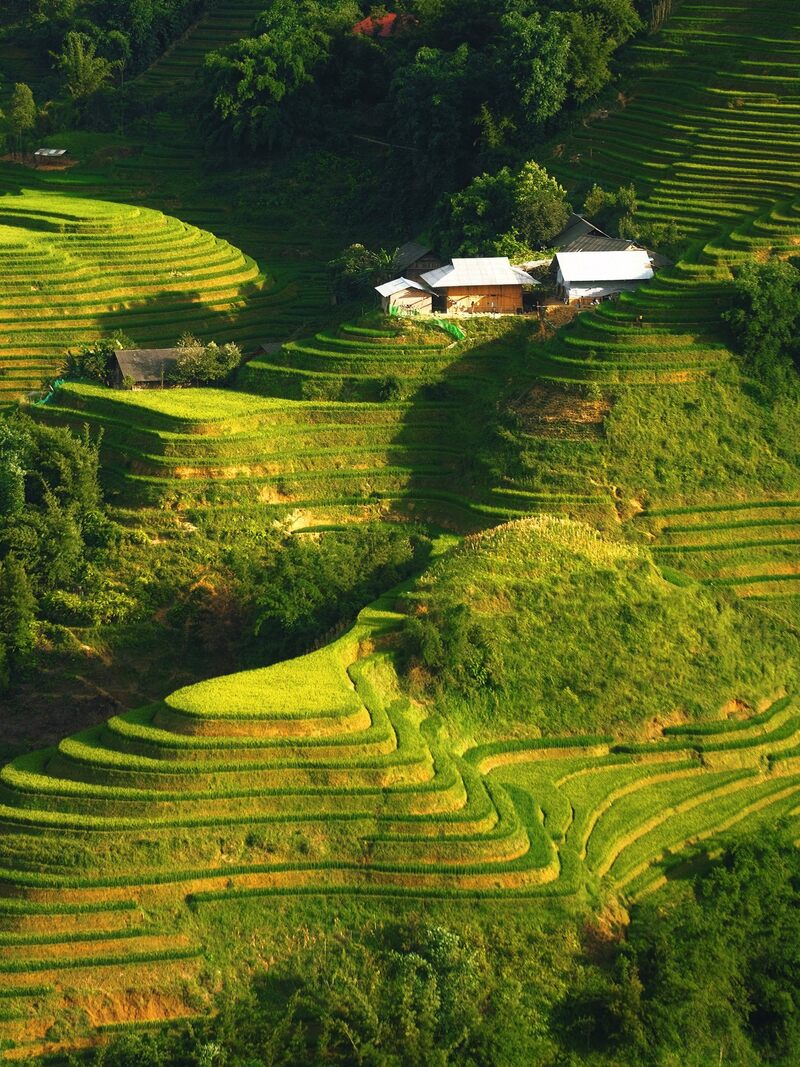 越南高平省的梯田風景。 