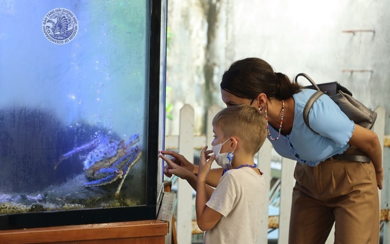 打卡水族館 