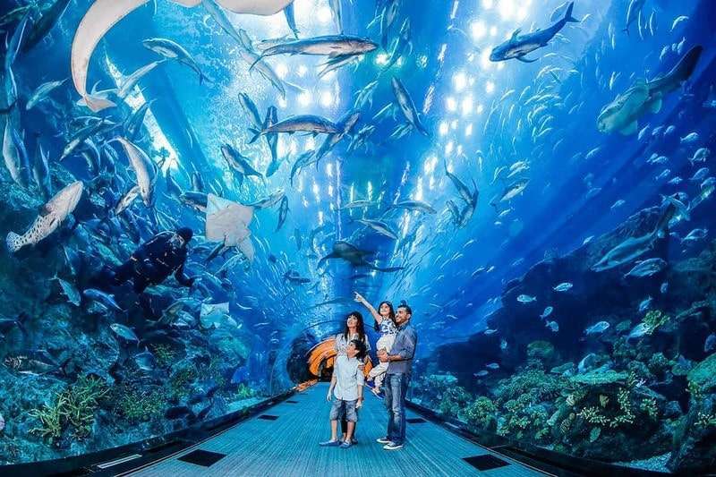 芽莊海洋學研究院—坐落於海濱城市中的微型海洋世界 