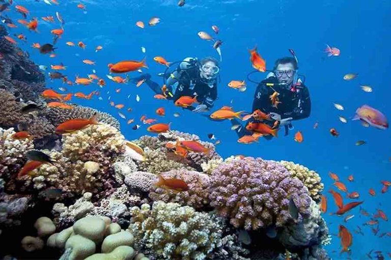 芽莊浮潛