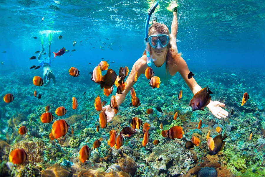 浮潛(Snorkeling)