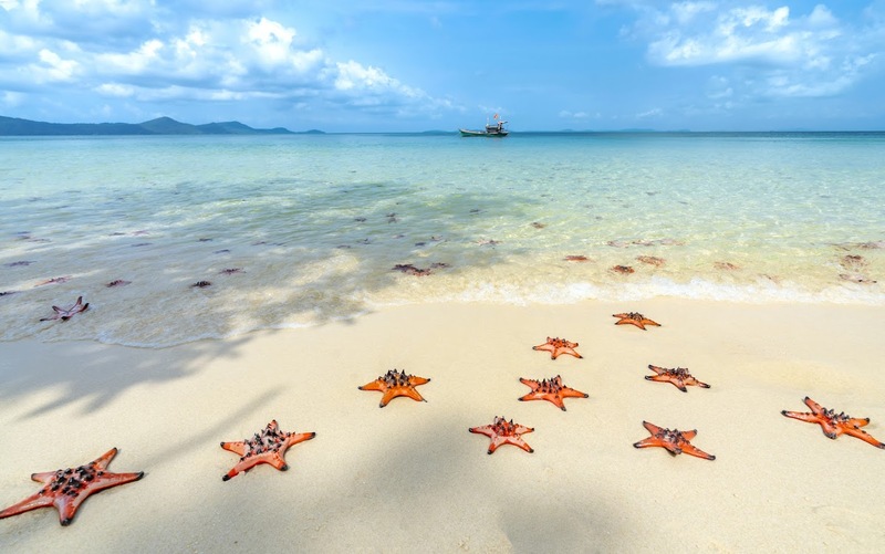海灘擁有細緻潔白的沙灘與清澈海水，展現典型的熱帶海島風情 