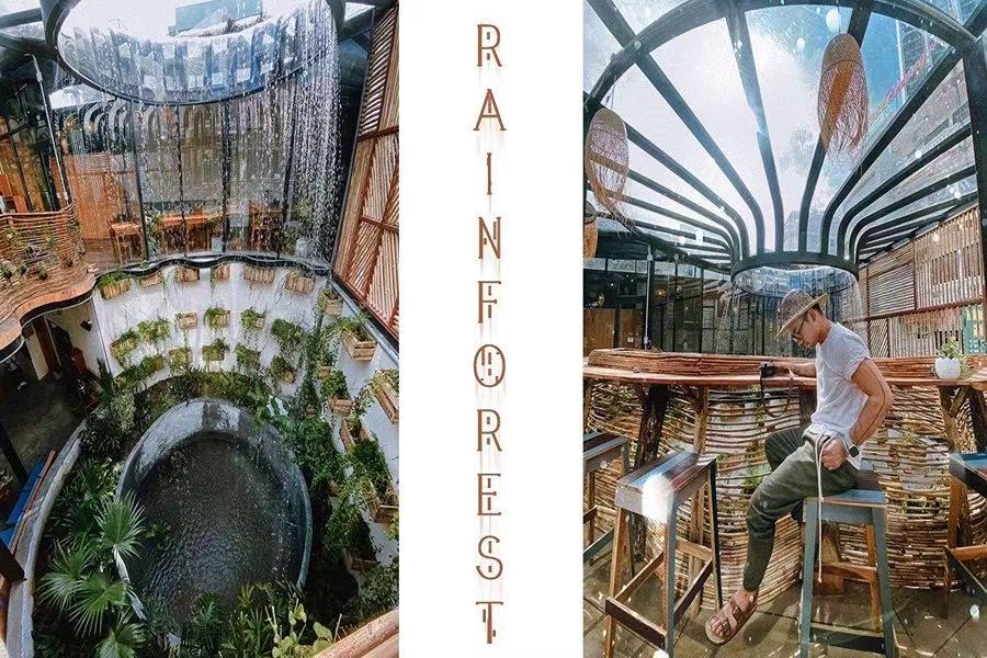 Rainforest Nha Trang特色